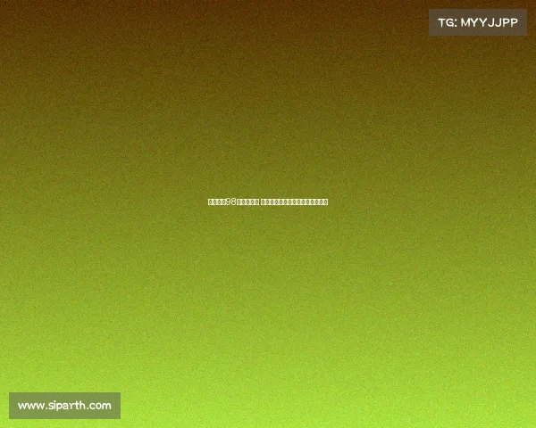 杉内寿子98岁宣布引退 成为日本首位女性九段历史性突破 杉内寿子98岁宣布引退 成为日本首位女性九段历史性突破