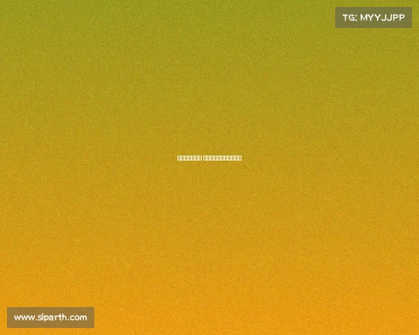 比尔森有望赢球 本菲卡主场稳胜不容小觑 比尔森有望赢球 本菲卡主场稳胜不容小觑