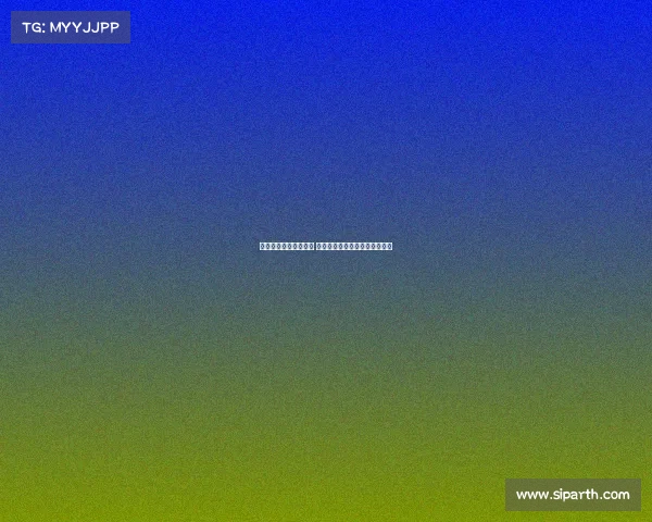 首届商界棋王传奇回顾 胡东海：女子围棋推广先锋之路