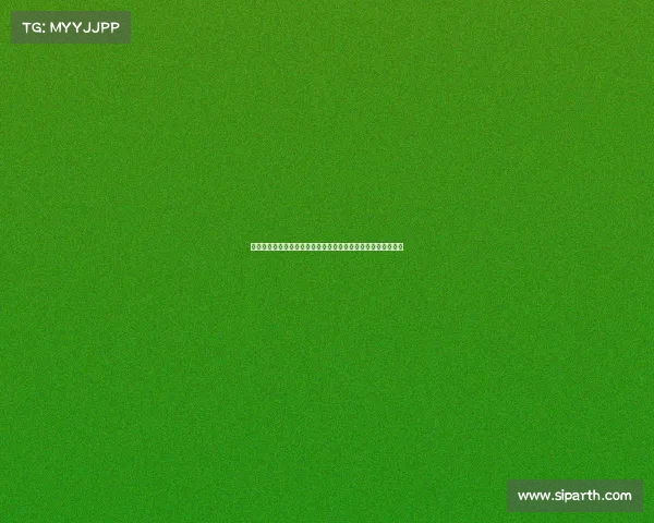 大豆在中国的奇妙旅程从传统食品到现代科技的全方位深度开发 大豆在中国的奇妙旅程从传统食品到现代科技的全方位深度开发