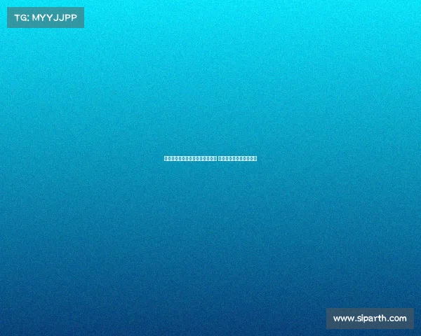 以新为核心盘点江苏十三太保热梗 全面解读地方文化新潮流 以新为核心盘点江苏十三太保热梗 全面解读地方文化新潮流